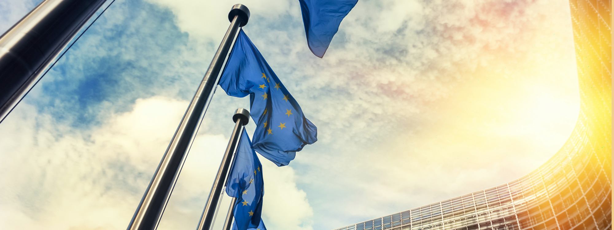 BiEPAG Reacts: Bosnia and the EU Enlargement Report – A Non-Event in a Non-Process