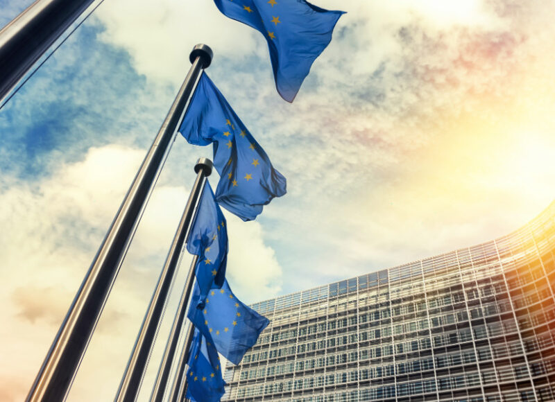 BiEPAG Reacts: Bosnia and the EU Enlargement Report – A Non-Event in a Non-Process 