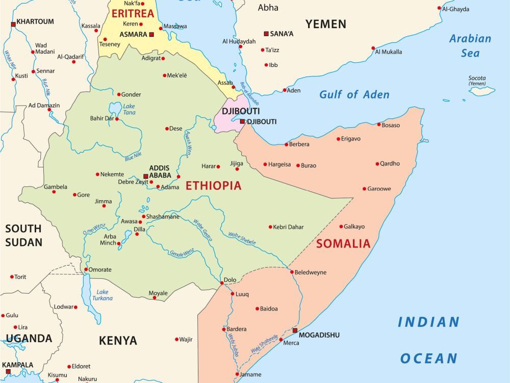 Module 8: The Wider Horn of Africa – Geopolitics, Political Risk and Business Environments 