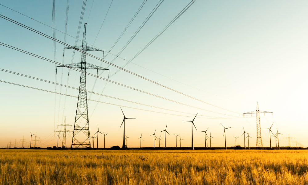 Green growth and its global-local meanings – Insights from Morocco