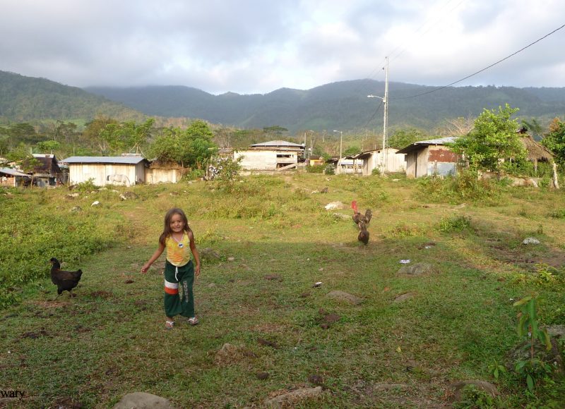 Identity Construction in Insurgent Movements. A Case Study of the Colombian Ejército de Liberación Nacional 