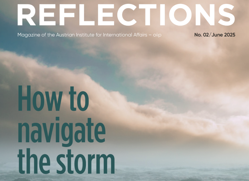 REFLECTIONS: How to navigate the storm – In the authors’ own words 