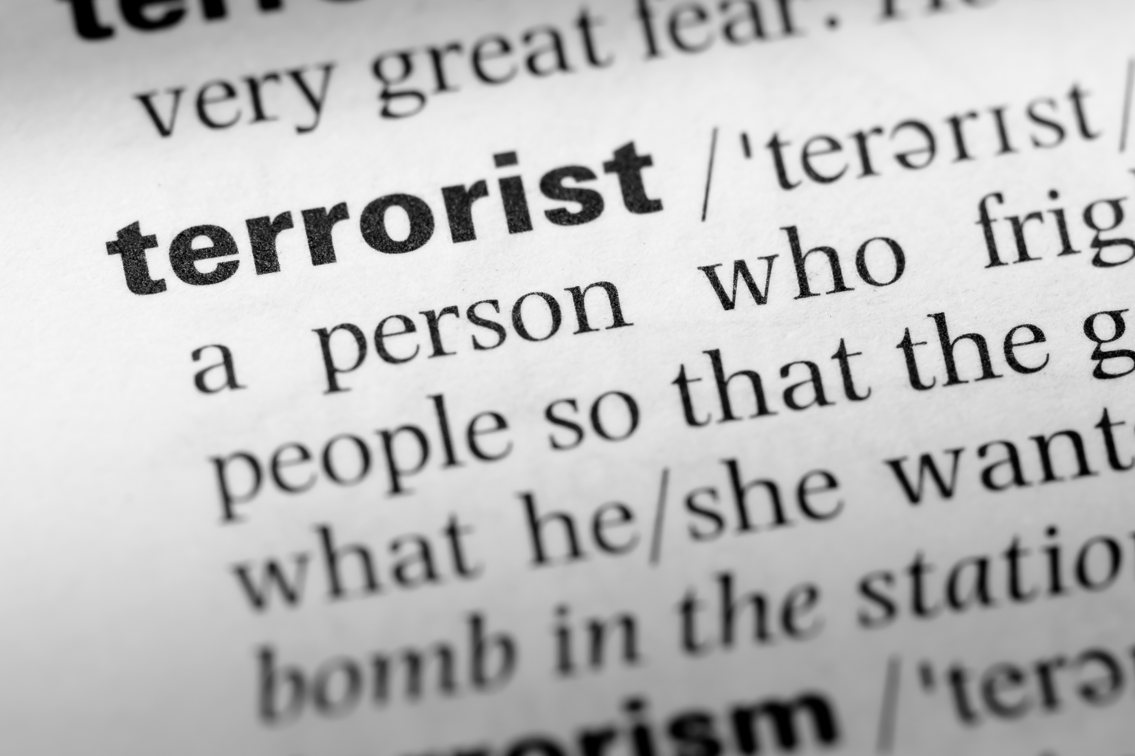 Terrorism: Features, Factors and Trends
