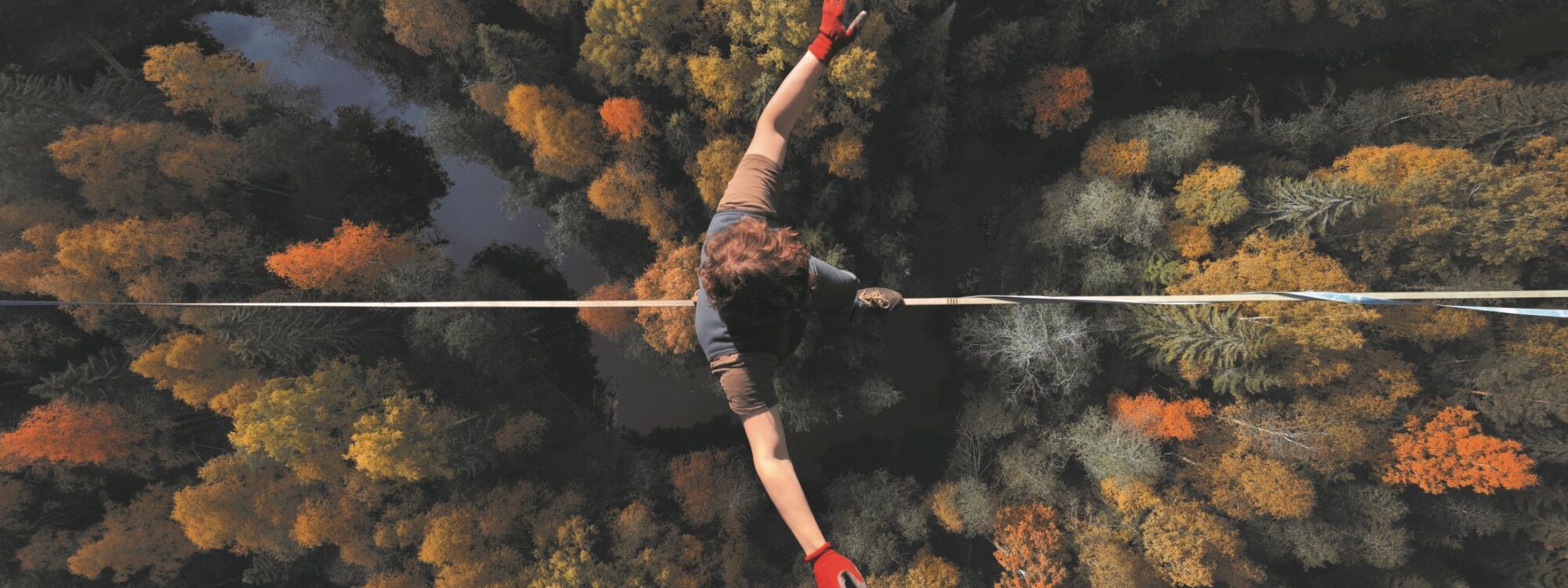 Beyond the Comfort Zone: REFLECTIONS – Magazine of the oiip