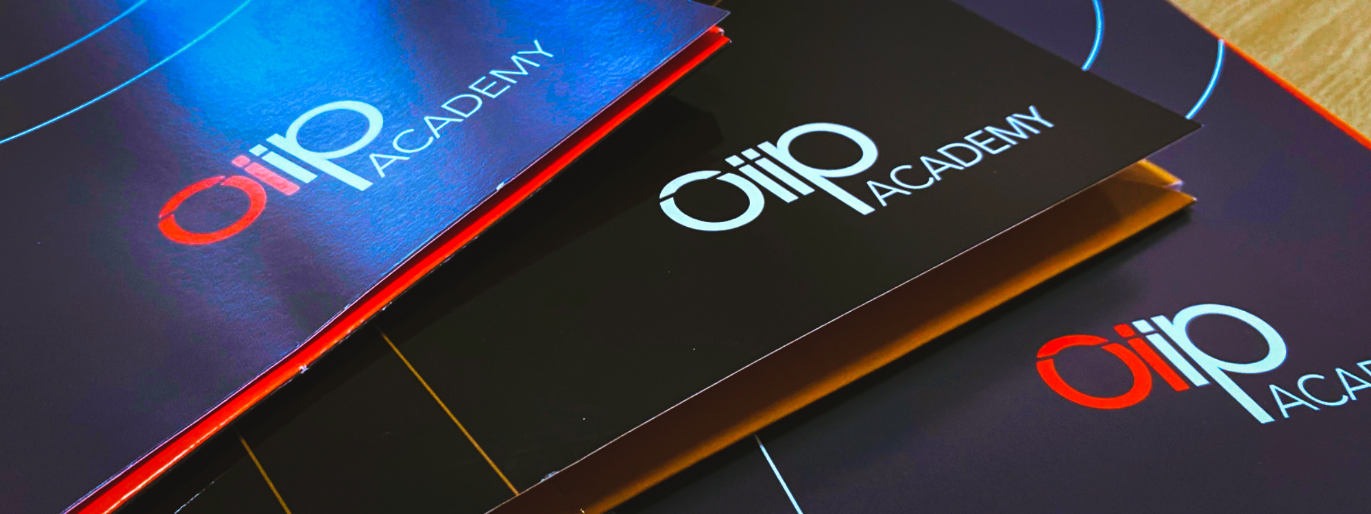 oiip ACADEMY Module 3: Geopolitics and Political Risks in the Western Balkans