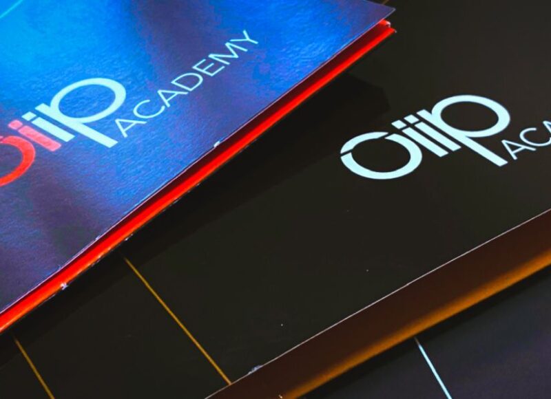 oiip ACADEMY Module 3: Geopolitics and Political Risks in the Western Balkans 