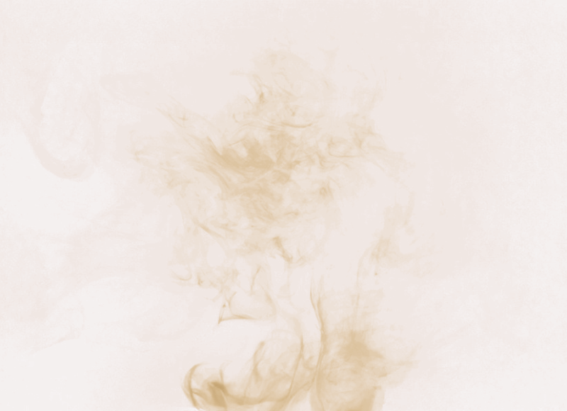 Succession—The Make-or-Break Moment of Electoral Authoritarian Regimes: The Case of Erdoğan’s Turkey 