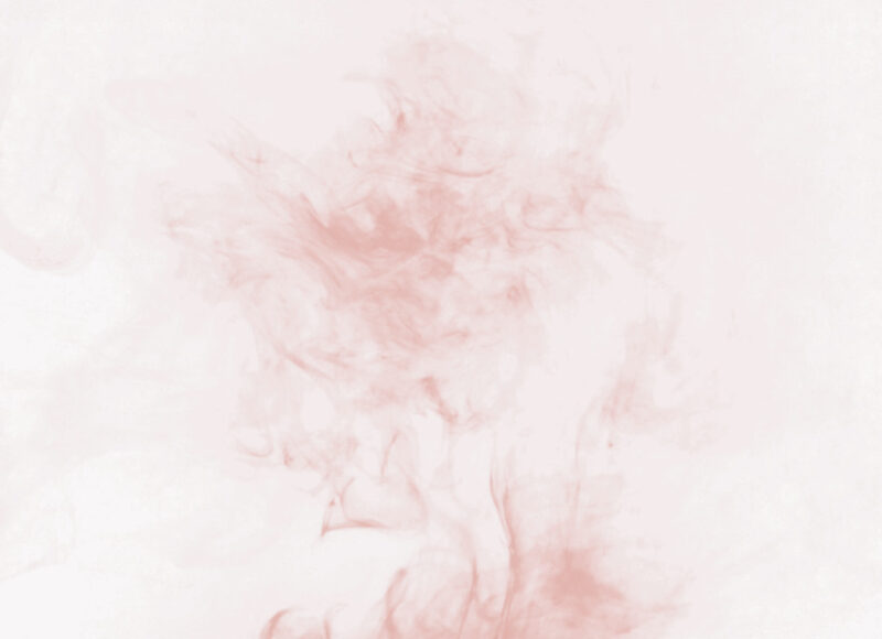 Algorithmic Truth-Making: From Border Checkpoints to Always-On Filters 